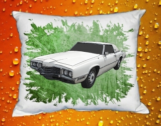 Polštář  Ford Thunderbird I