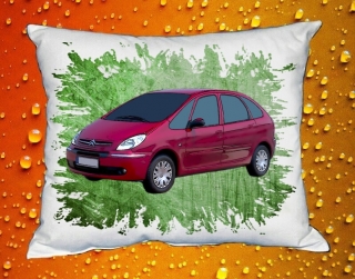 Polštář Citroen Xsara Picasso I