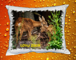 Polštářek pro myslivce č. 57