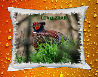 Polštářek pro myslivce č. 60