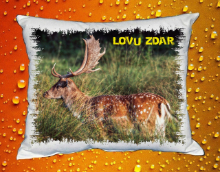 Polštářek pro myslivce č. 62