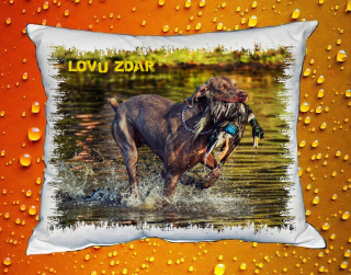 Polštářek pro myslivce č. 64