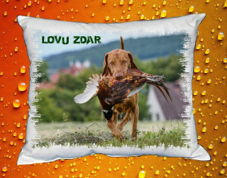 Polštářek pro myslivce č. 70