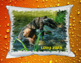 Polštářek pro myslivce č. 71