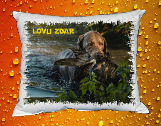 Polštářek pro myslivce č. 72