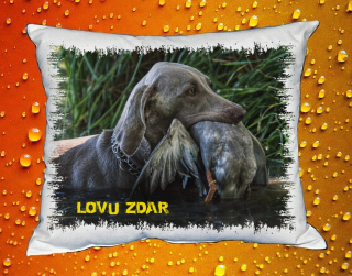 Polštářek pro myslivce č. 73