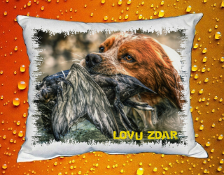 Polštářek pro myslivce č. 77