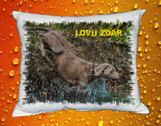 Polštářek pro myslivce č. 78