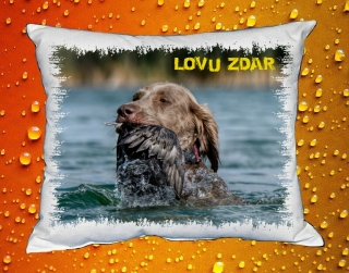 Polštářek pro myslivce č. 81