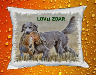 Polštářek pro myslivce č. 82