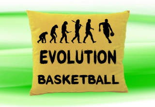 Moon River Evolution Basketbal polštář béžový 30x40 cm