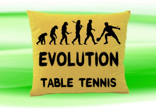 Moon River Evolution TABLE TENNIS polštář béžový 30x40 cm