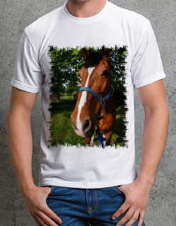 tričko s koněm č. 8 S