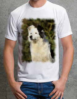 tričko s pejskem č. 08 134