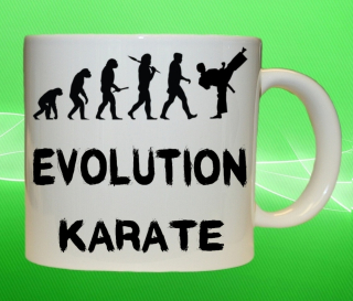 hrnek evolution KARATE 450ml