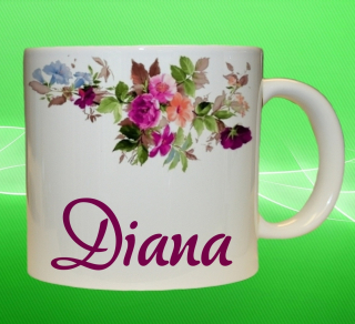 Moon River DIANA hrnek se jménem objem 330 ml