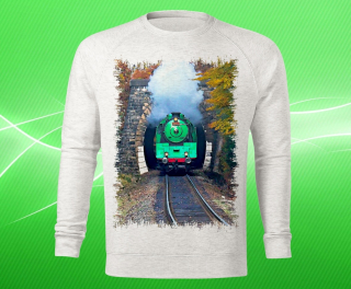 mikina s lokomotivou 486 007 pánská L