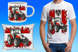 Steyr 4095 dárkový set s traktorem 122