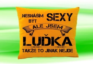 Polštář se jménem LUĎKA Medový